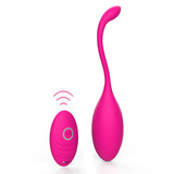 10 Function Rechargeable Remote Control Silicone Love Egg Vibrator Sex Toy for Women