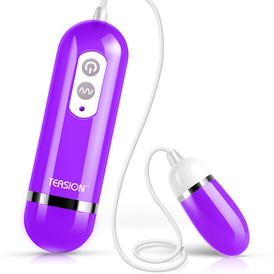 Super Powerful 10 Function Single Love Egg Vibrator Sex Toys for Women