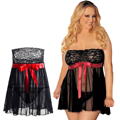 Sheer Mesh and Lace Tube Dress Set Sexy Lingerie for Women