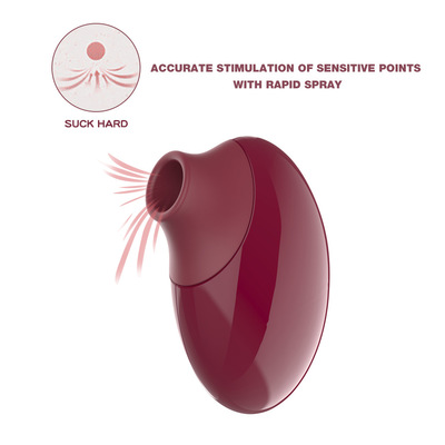 Premium Silicone Rechargeable Smart Silence Clitoral Stimulator for Women