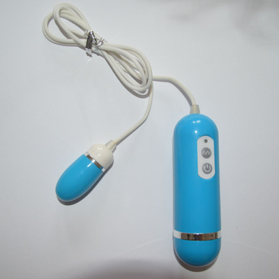 12 Function Beginner's Power Play Love Egg Vibrator Sex Toys