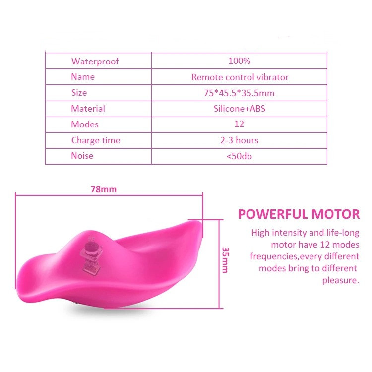 Panty Vibrator (4).jpg