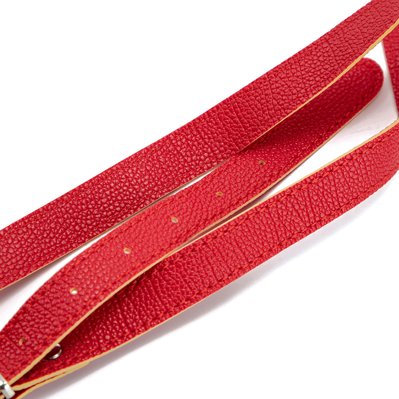 Strap-on Dildos Harness(6).jpg