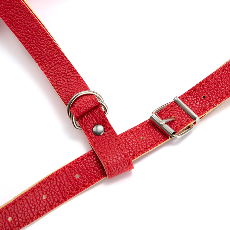 Strap-on Dildos Harness(5).jpg