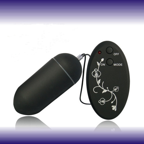 Secret Sensations 10 Function Remote Control Love Egg Vibrator Sex Toy for Women