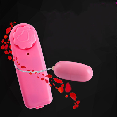 7 Function Love Egg Vibrator